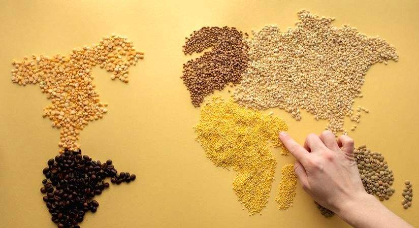 Indian government lays out action plan to promote millet export - Vimarsana News