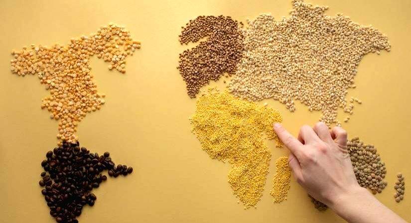 Millet: The old food revolution to our new life - Vimarsana News