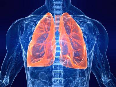 Molecules in vegetables like cauliflower can help to ease lung infection: Study - Vimarsana News
