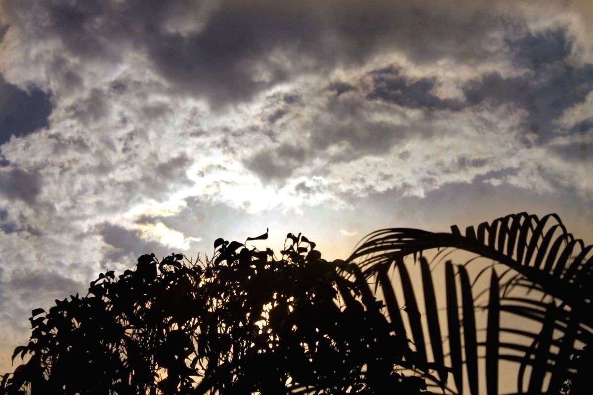 India to see 'normal' monsoon this year, forecasts IMD - Vimarsana News