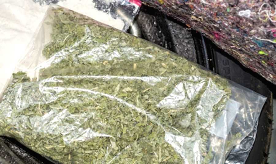 Inter-state narco cartel busted, over 300 kg cannabis worth Rs 1 cr seized - Vimarsana News