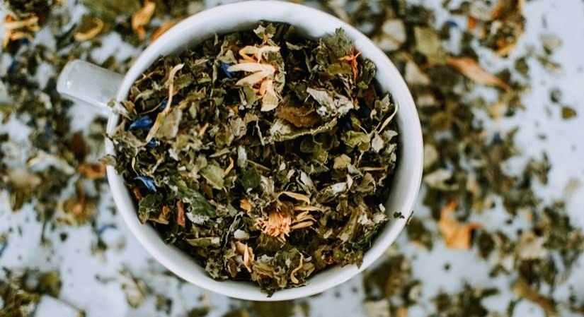 Revival of traditional medicine in J&K - Vimarsana News