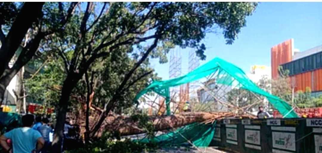 Woman, son die after under-construction metro pillars collapses in B'luru - Vimarsana News