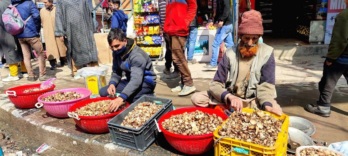 Mushroom is the new cash crop - Atmanirbhar J&K - Vimarsana News