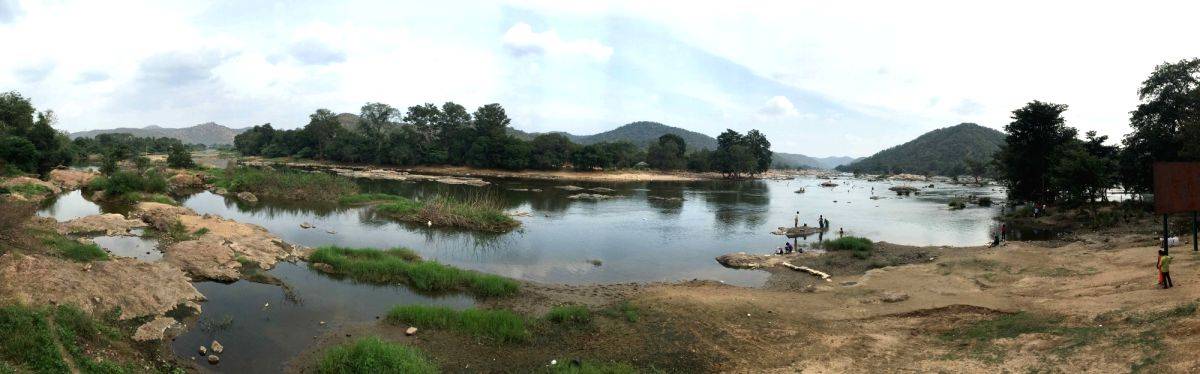 IISER Bhopal uses statistical methods to improve rainfall forecasts in Indian river basins - Vimarsana News