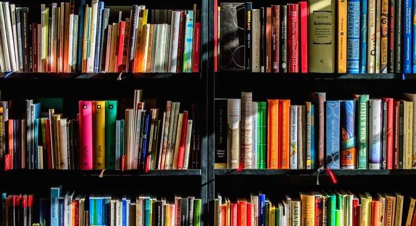 TN to provide internet connections to all libraries - Vimarsana News