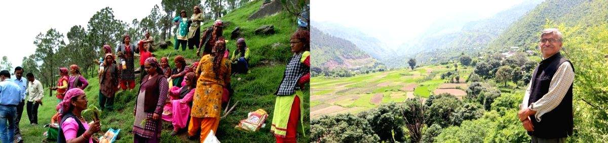 Nanj natives bunch together to revive a lost forest for fodder - Vimarsana News