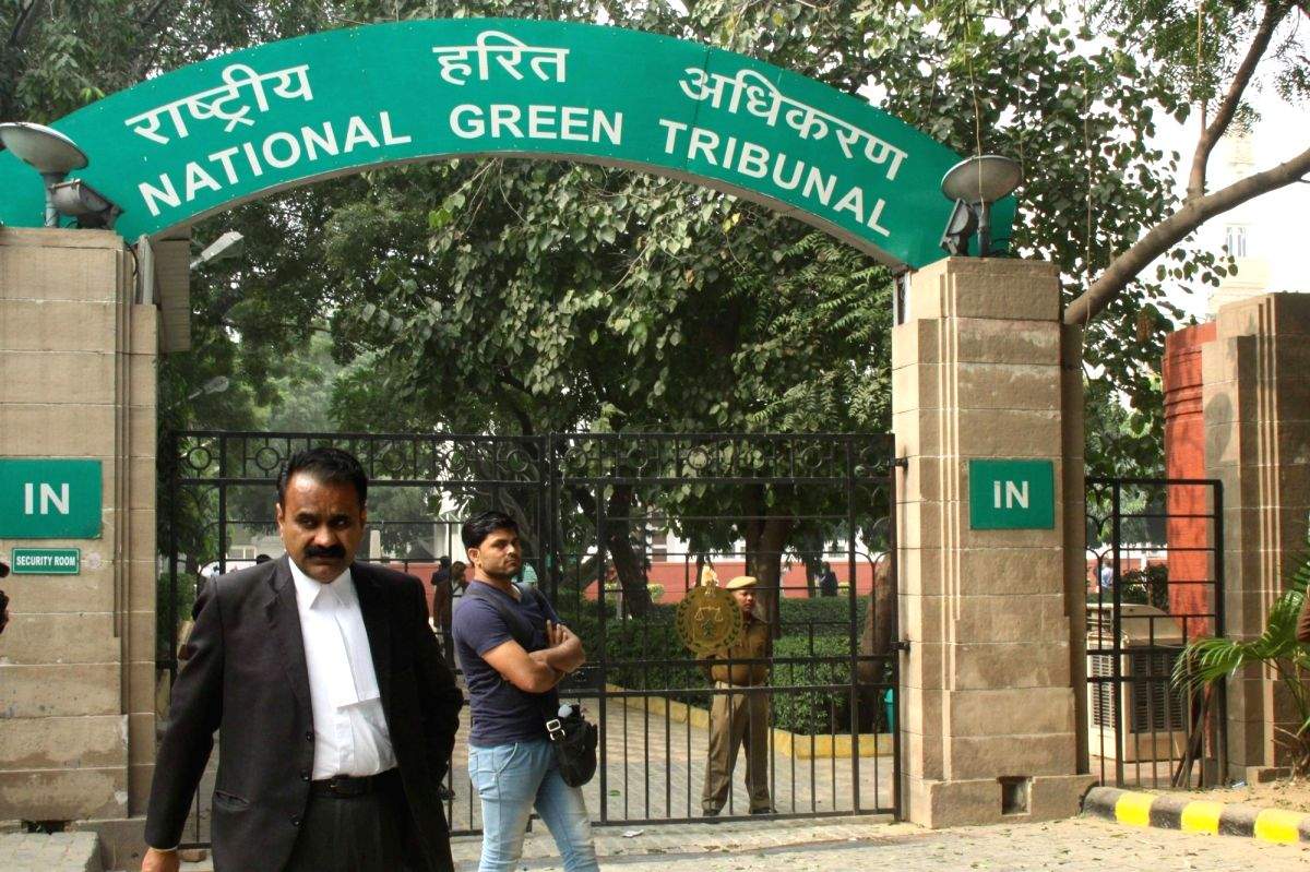 NGT red flags possibility of human-tiger conflict in AP's YSR district - Vimarsana News