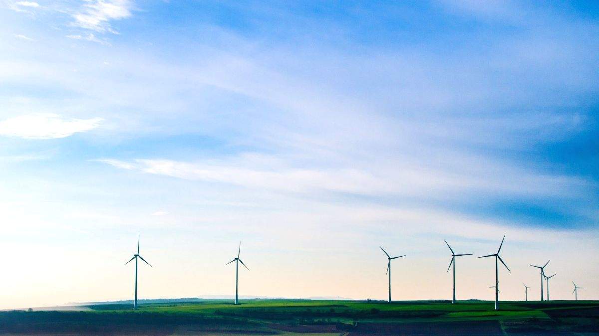 Budget pushes India towards net-zero target: Environmental experts - Vimarsana News
