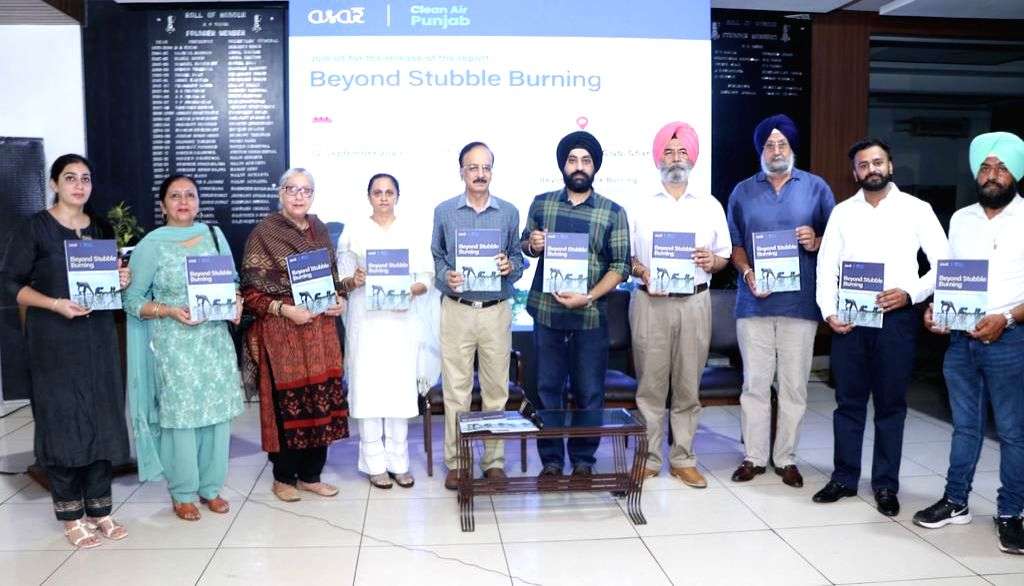 Need for sustainable solution to check stubble burning, says report - Vimarsana News