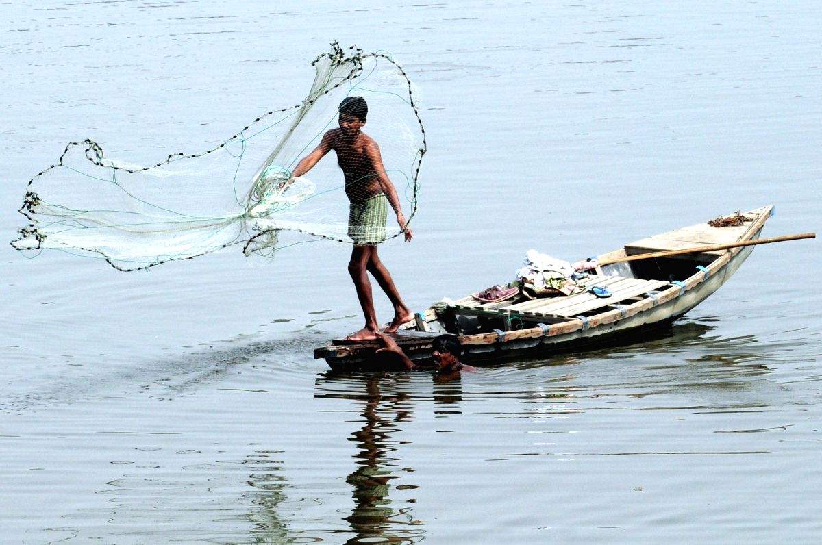 India working on maximising net revenue from fisheries - Vimarsana News
