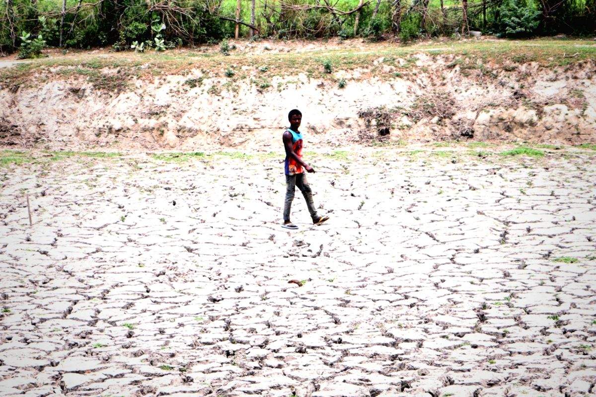 TN govt declares six districts as drought affected - Vimarsana News