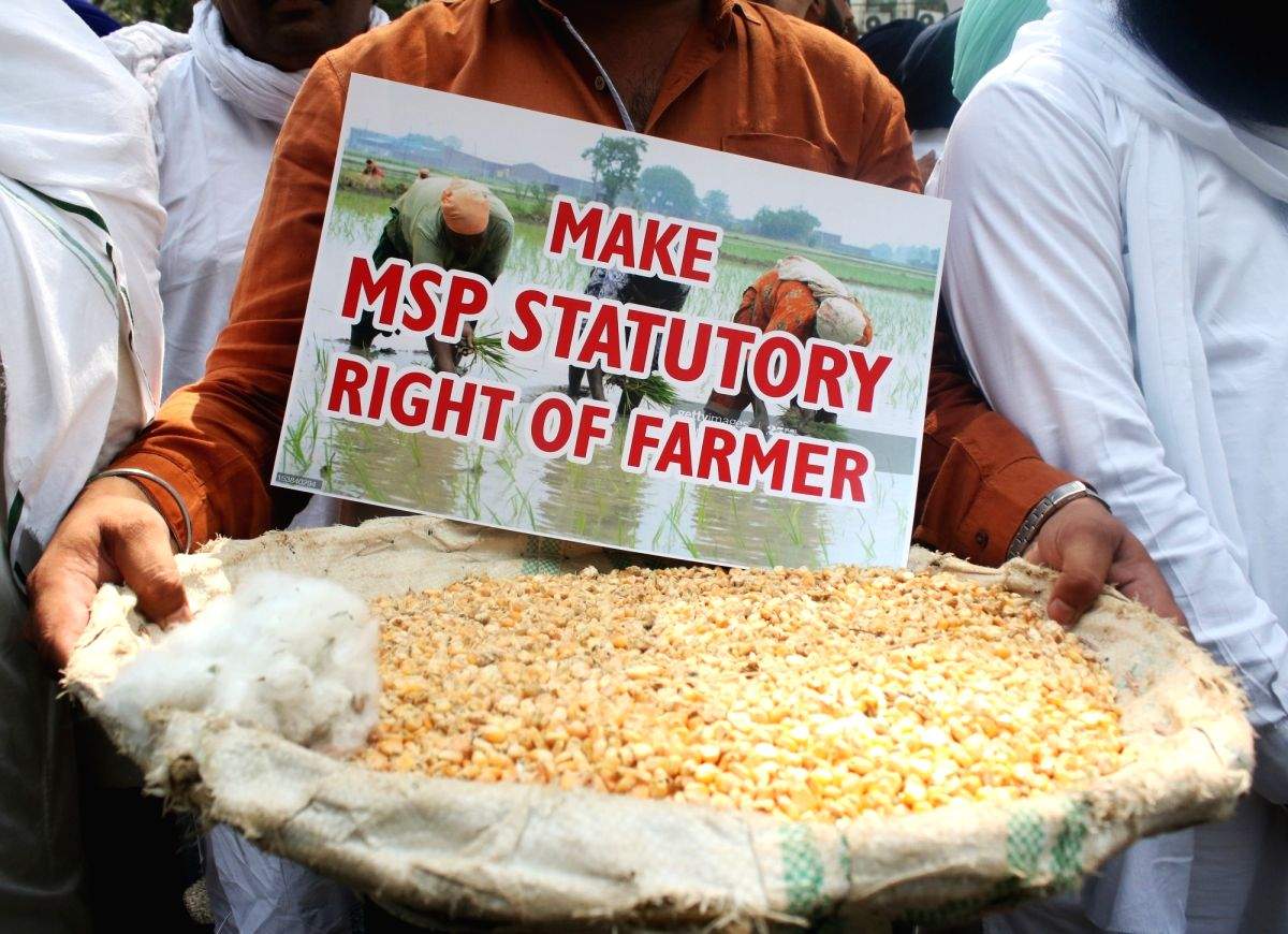 Industry stakeholders welcome MSP hike, farmer activists criticise - Vimarsana News