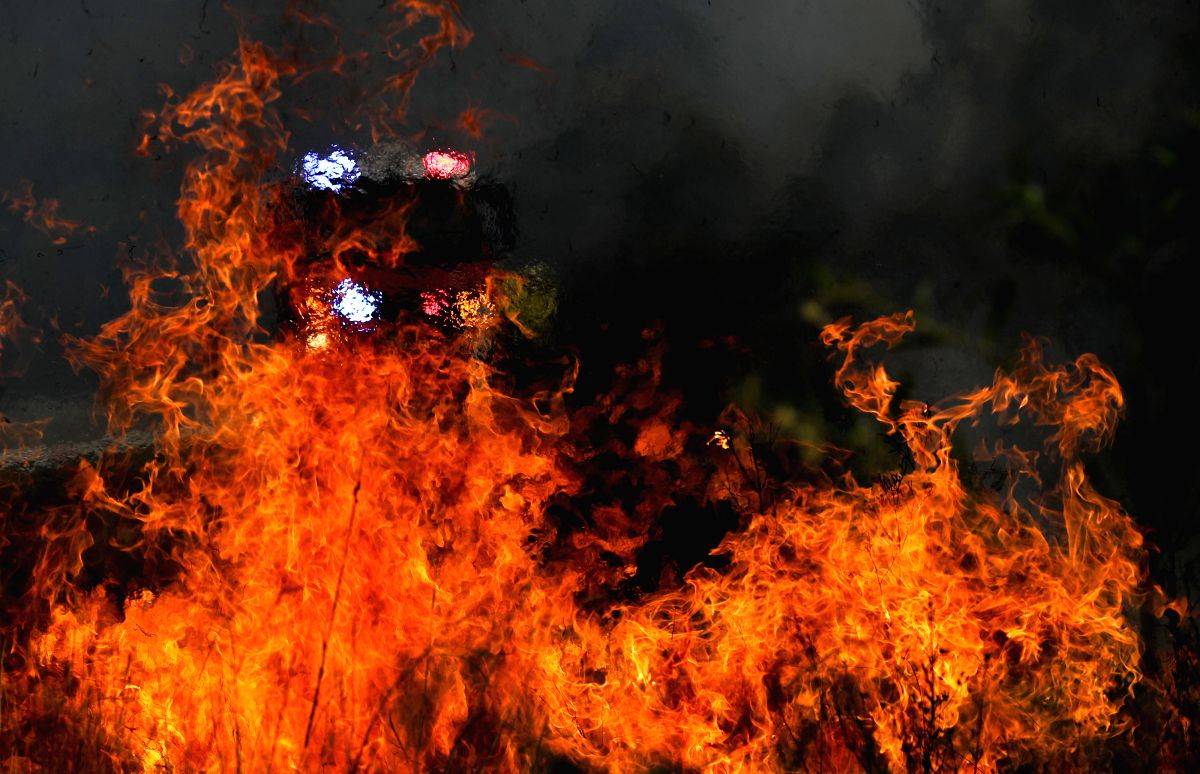 Australia's densely populated states to see above normal bushfire potential in summer - Vimarsana News