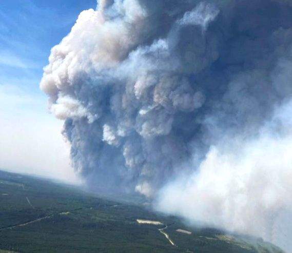Cape of Good Hope closed as wildfire rages on near Cape Town in South Africa - Vimarsana News