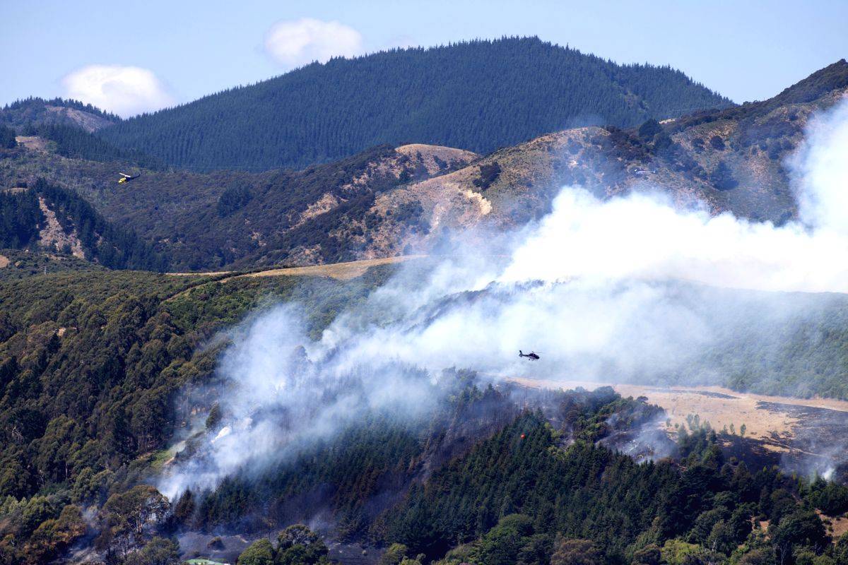 New Zealand experts warn wildfire risk due to El Nino - Vimarsana News