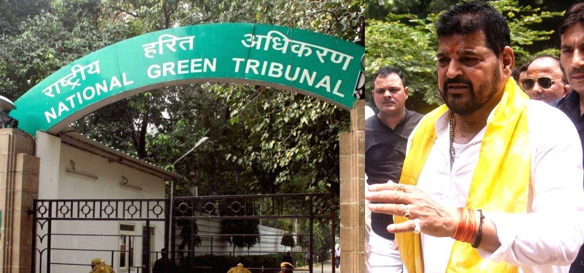 NGT seeks action taken report in illegal mining case against Brij Bhushan - Vimarsana News