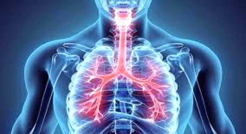 Amid high pollution levels, docs urge people to keep lungs healthy - Vimarsana News