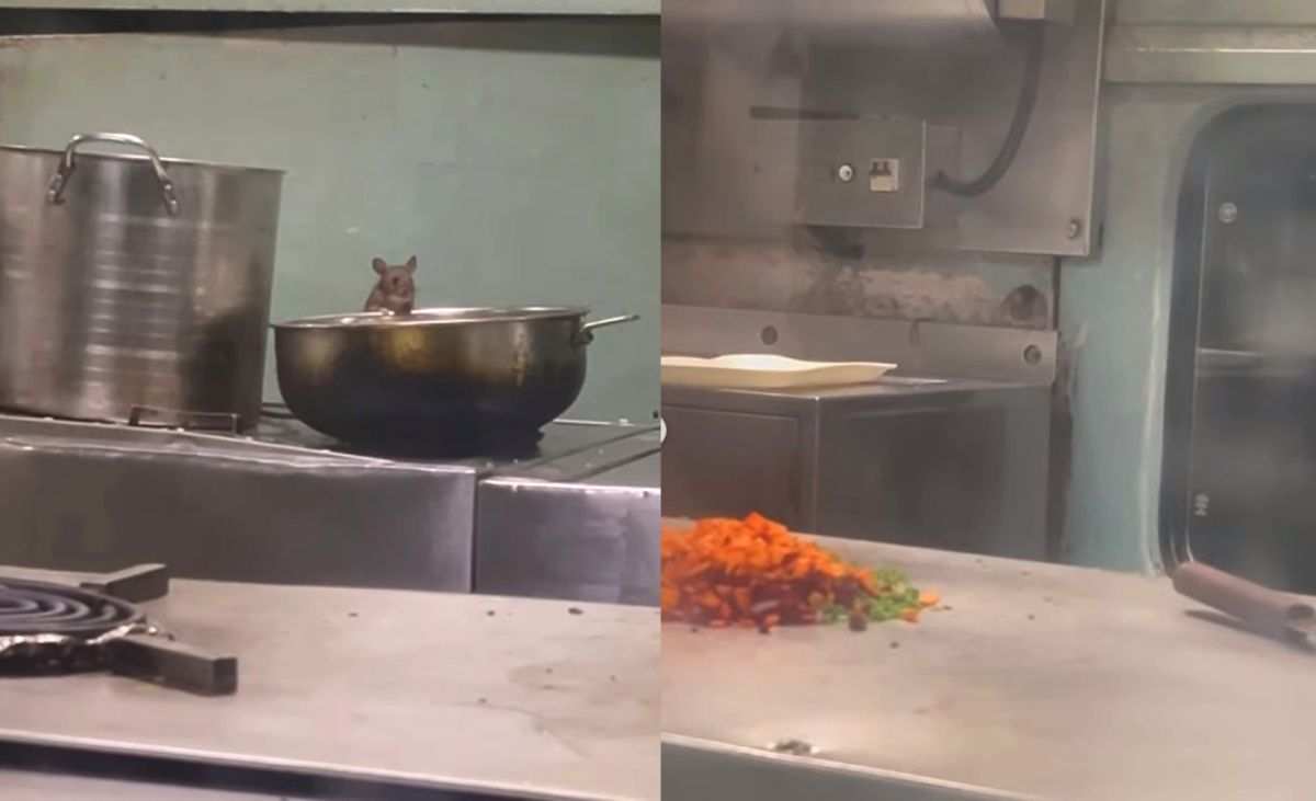 Obnoxious: Rats 'feast' on passenger food in Mumbai-Madgaon Express pantry car - Vimarsana News
