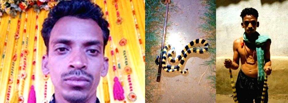 Odisha YouTuber held for keeping snakes, chameleons - Vimarsana News