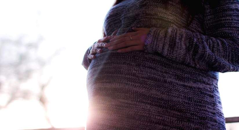 Omega-3 DHA is important for a healthy pregnancy - Vimarsana News