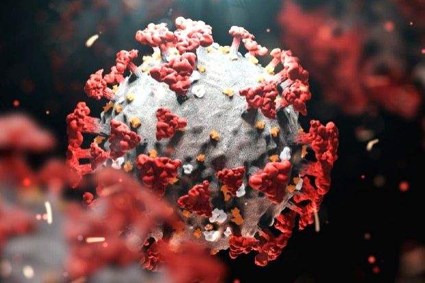 Contagious BA.5 Covid strain replicates faster early in infection: Study - Vimarsana News