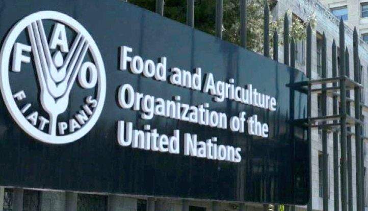 UN summit to launch global black soils map - Vimarsana News