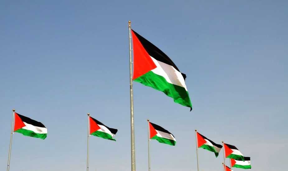 Palestinian flags displayed during Pakistan-Bangladesh ODI in Kolkata - Vimarsana News