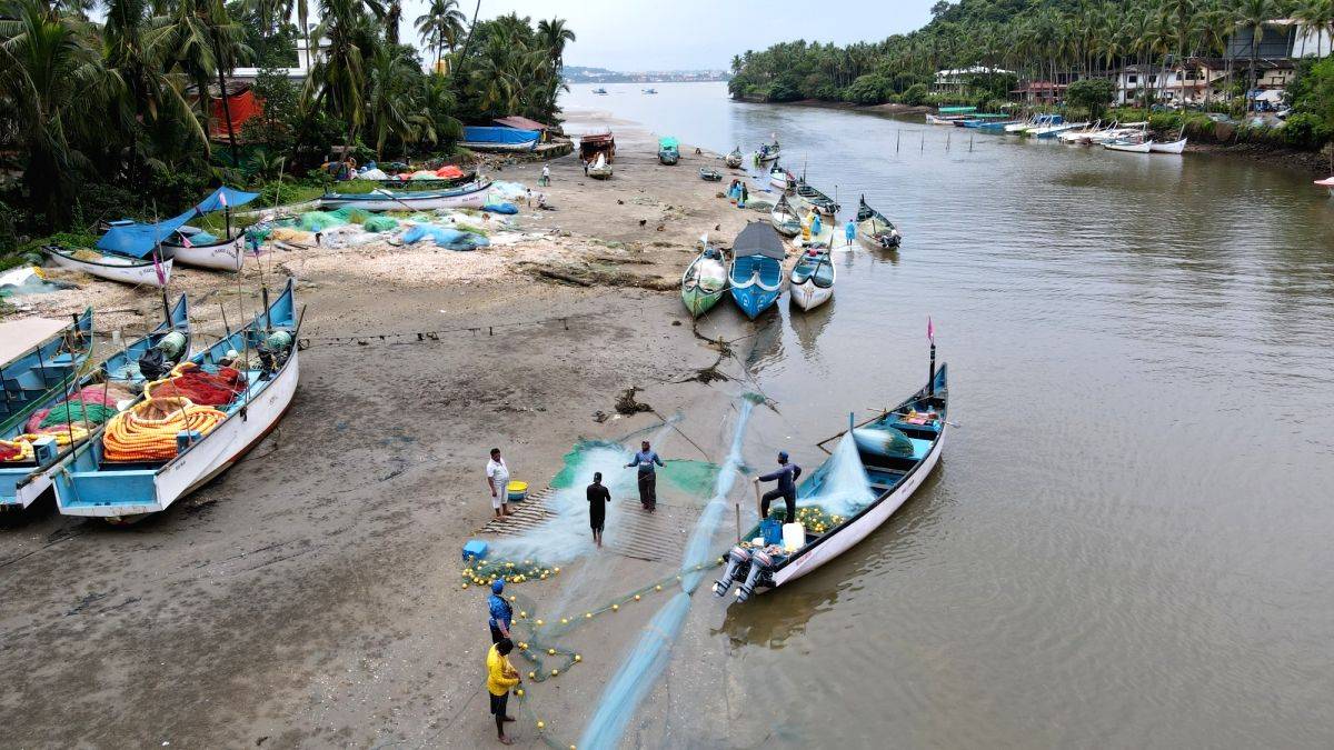 As Goa seeks to raise fish production, sea cage farming is the new hope - Vimarsana News