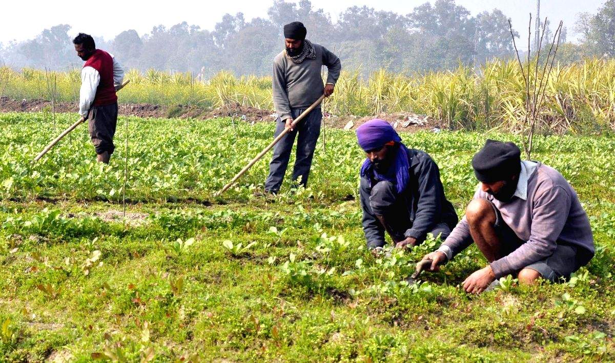 Parl panel asks govt to provide subsidy to farmers under PM-KUSUM scheme - Vimarsana News