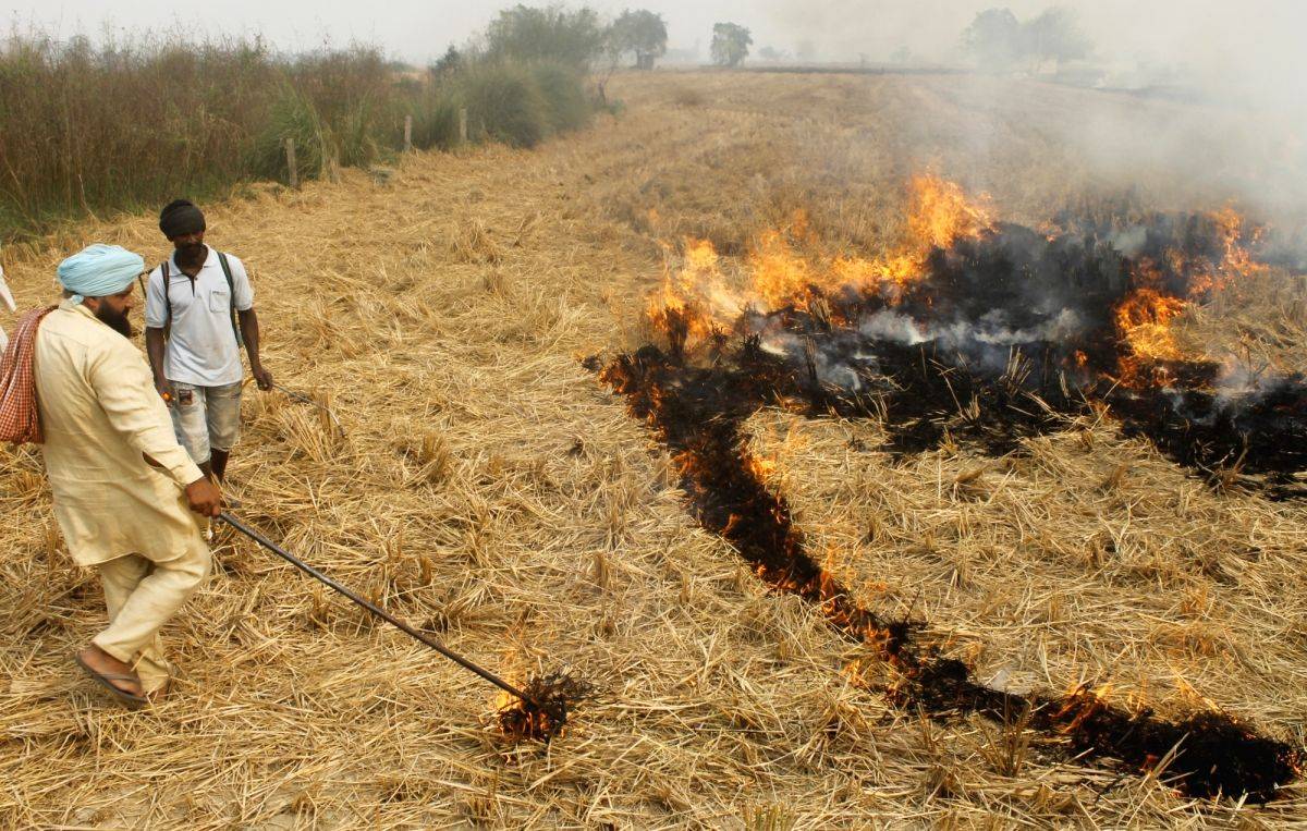Punjab needs policy to reuse stubble: Rajya Sabha MP Vikram Sahney - Vimarsana News