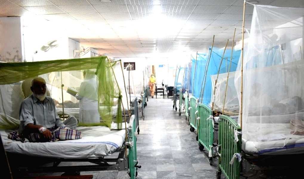 Deadly dengue reaches epidemic proportion in SL - Vimarsana News
