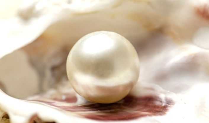 Archaeologists find over 6,500-yr-old pearl bead in Qatar grave - Vimarsana News