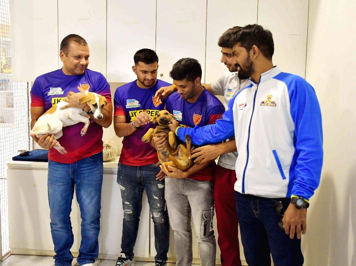 PKL 9: Kabaddi players spend invigorating time with rehabilitated animals - Vimarsana News