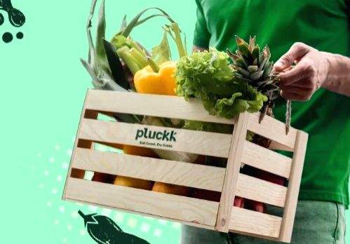 Pluckk becomes India's 1st certified 'Plastic Neutral Brand' in FnV space - Vimarsana News