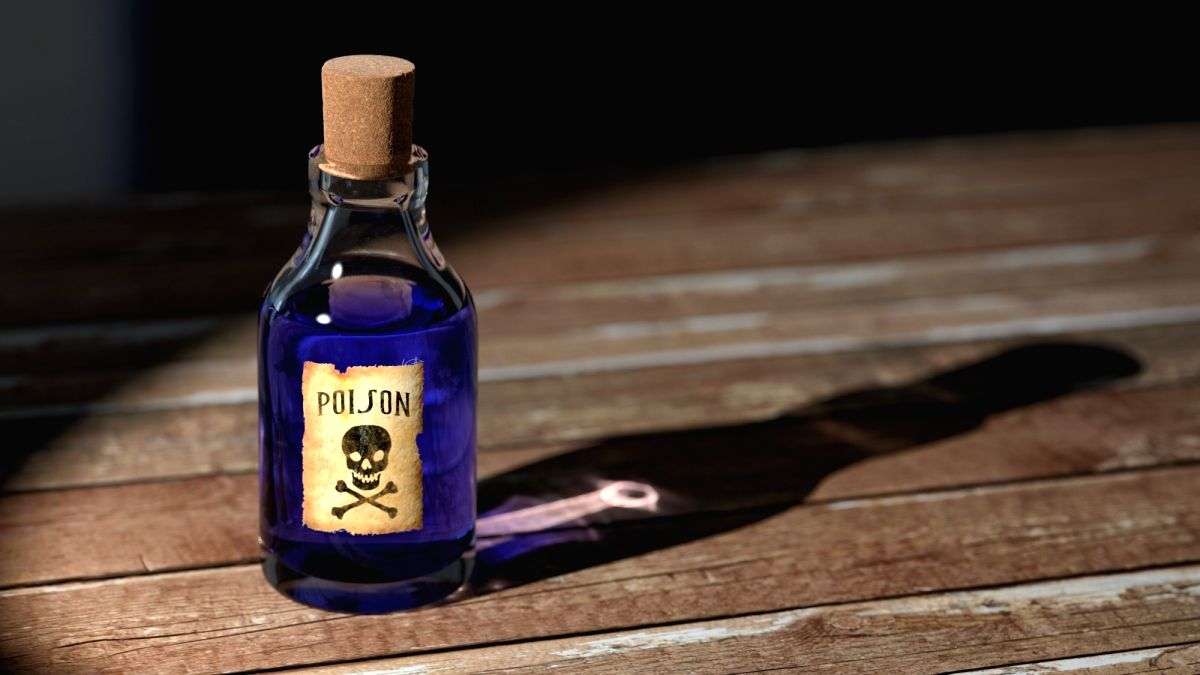 'Cyanide killer' Jolly's murderous exploits now in new book - Vimarsana News