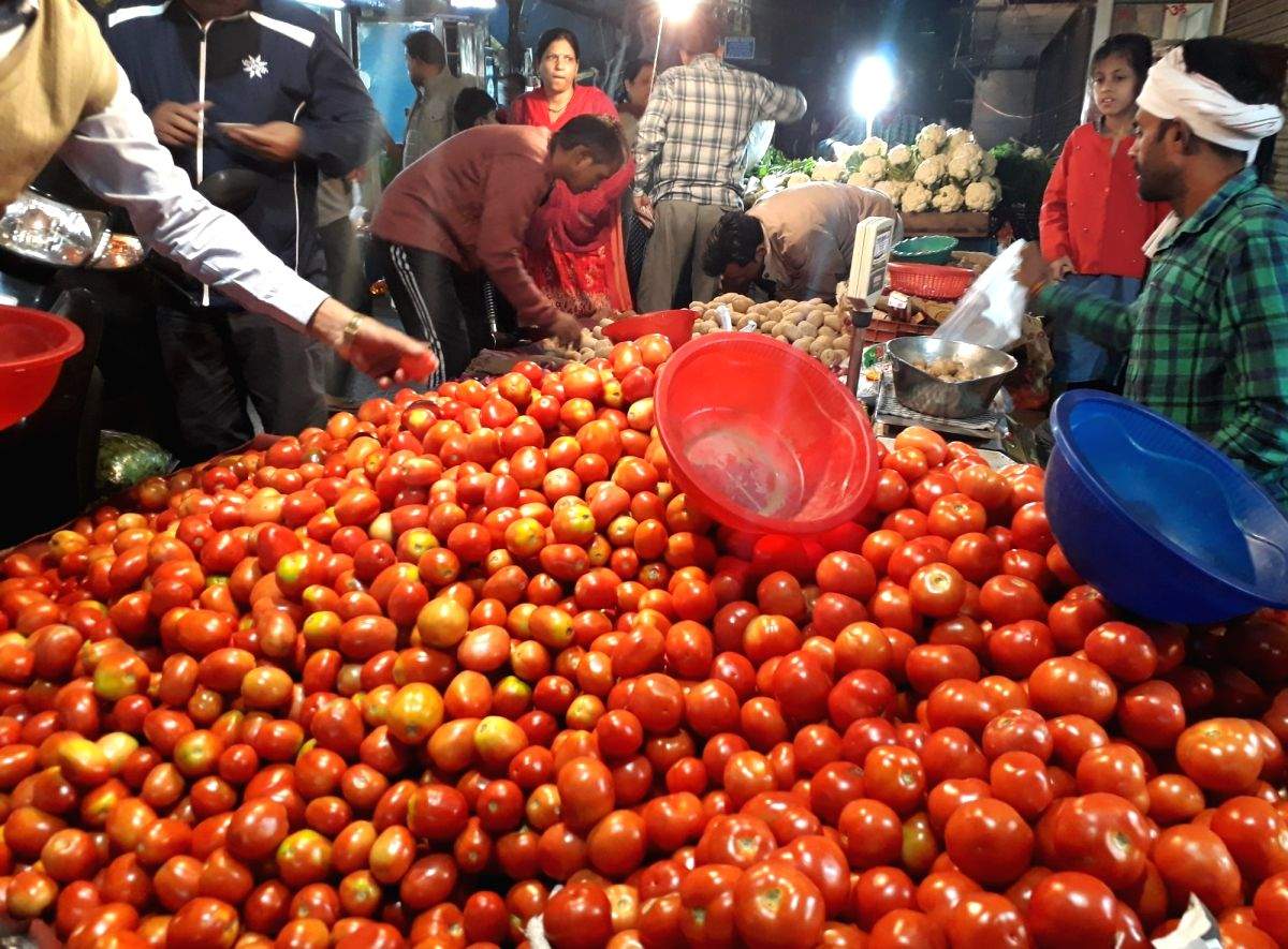 Weather fluctuations hit Himachal vegetable crops - Vimarsana News