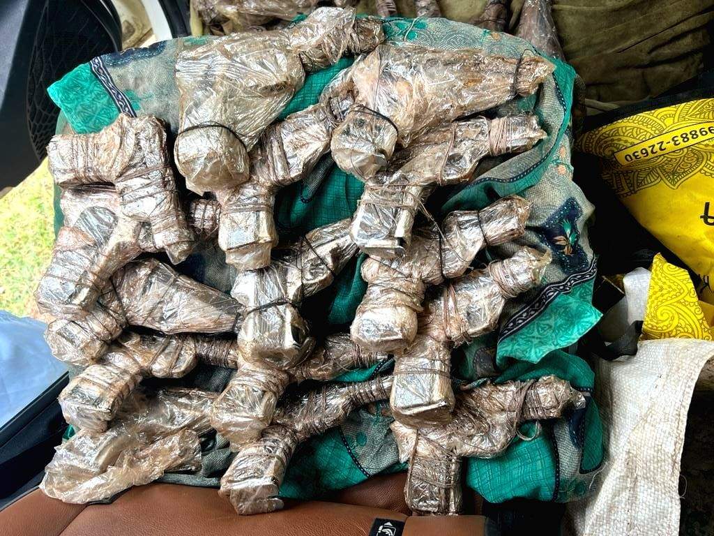Punjab Police bust inter-state weapon smuggling module - Vimarsana News