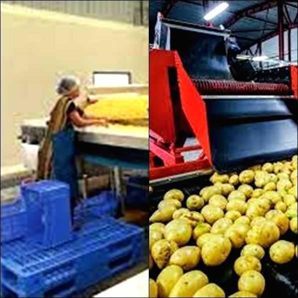 J&K launches Rs 879 cr Food Processing Project - Vimarsana News
