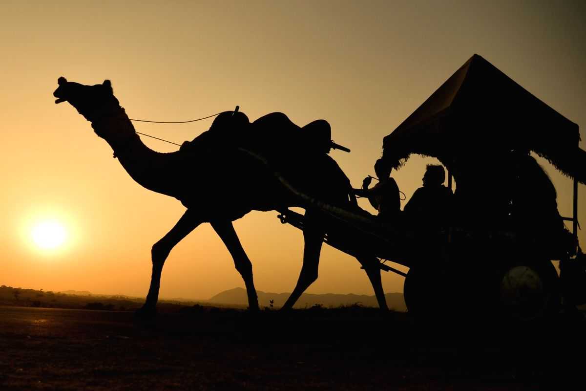 Anyone for Barmer fries? A lot's cooking in Rajasthan's desert district - Vimarsana News