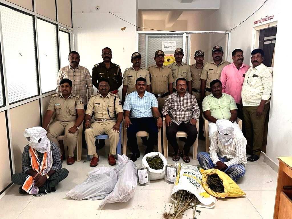 Raids conducted on marijuana farms in Karnataka, 2 arrested - Vimarsana News