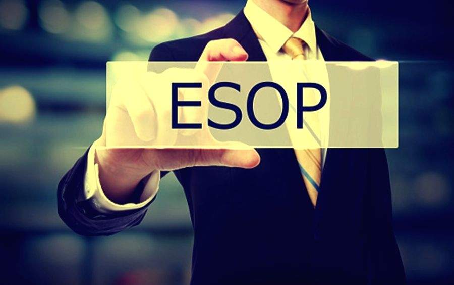 10-yr tax holiday, less holding period of ESOP shares: Startups on Union Budget - Vimarsana News