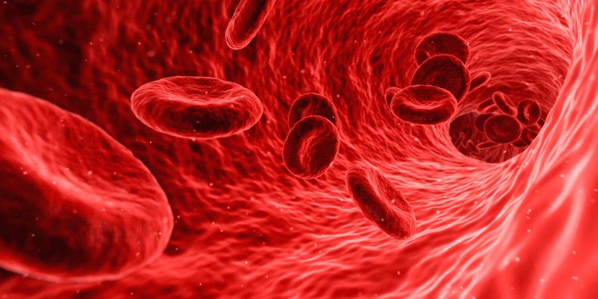 India among worst-hit by anaemia, World Congress in Mumbai to discuss remedies - Vimarsana News