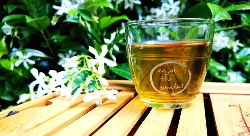 Green tea compounds can treat Covid, diabetes, ageing: IISER Bhopal - Vimarsana News