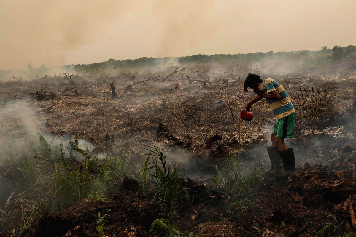 Portugal lowers fire danger rating back to 'alert situation' - Vimarsana News