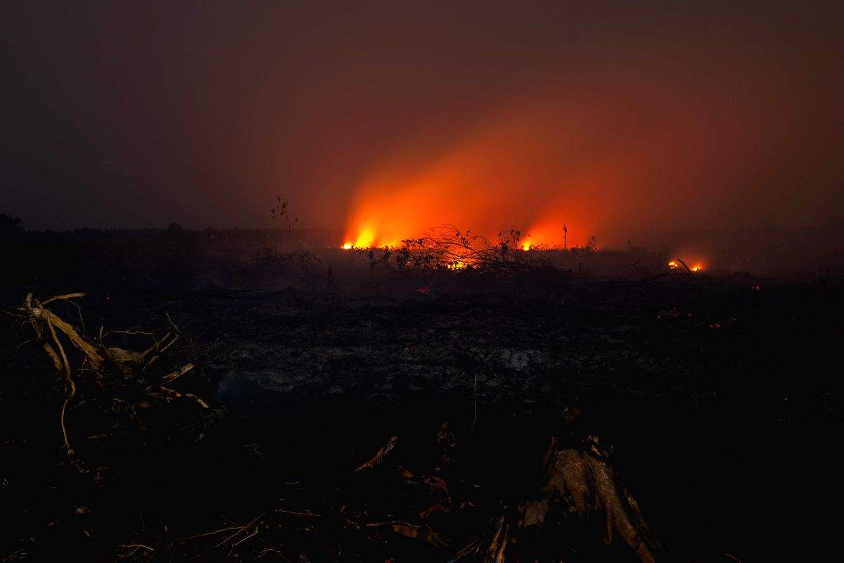 Odisha forms task force to contain forest fires - Vimarsana News