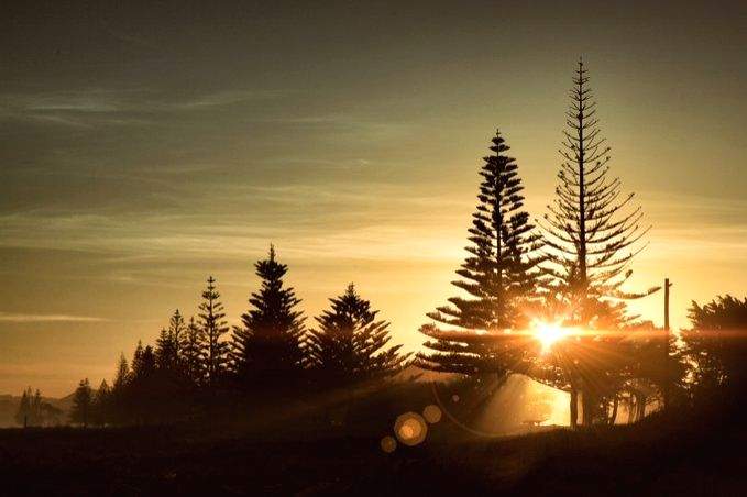 Right to clean environment breakthrough moment: UN agency head - Vimarsana News