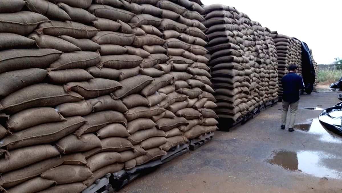 'Negligible quantity' food grains wasted in FCI storage: Govt - Vimarsana News