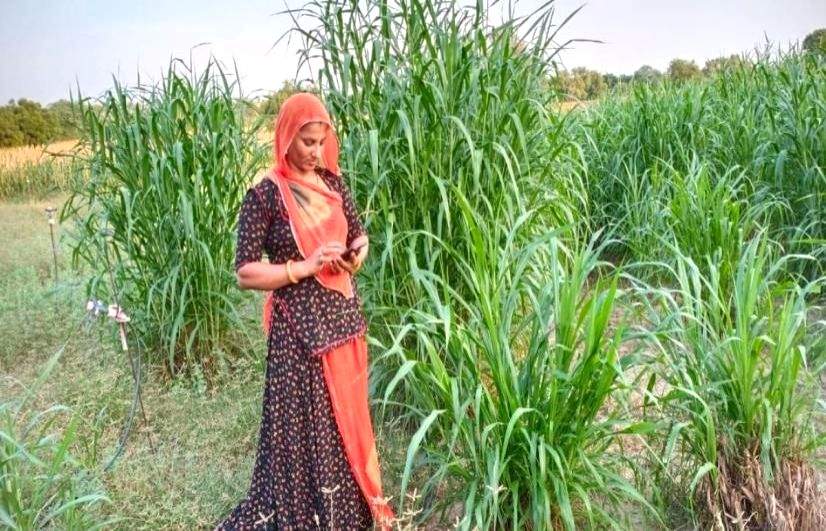 Rural women in Rajasthan pave the way for farming innovations, higher income - Vimarsana News
