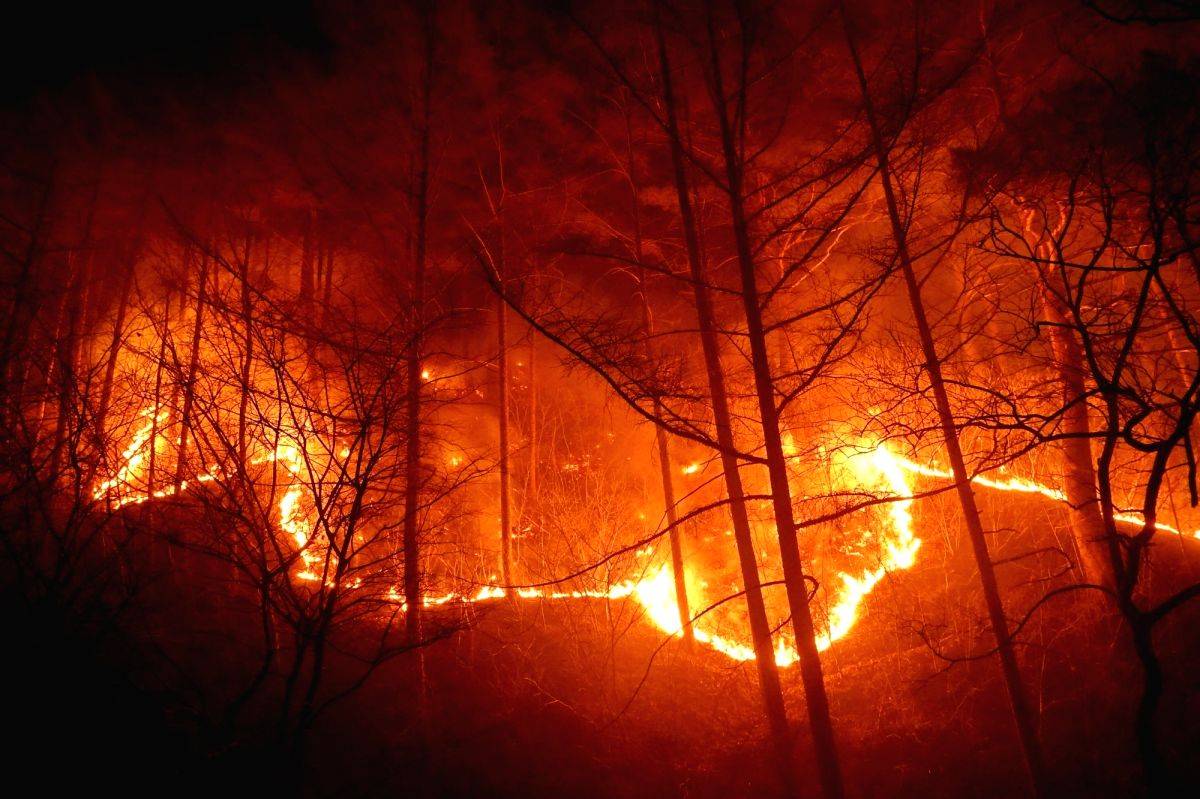 S.Korea vows all-out efforts to put out wildfire - Vimarsana News